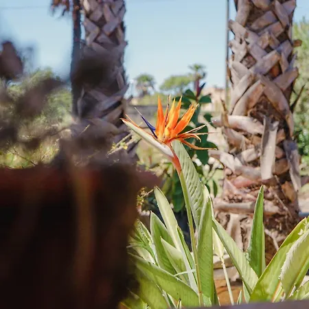 Fontanelle Lägenhet